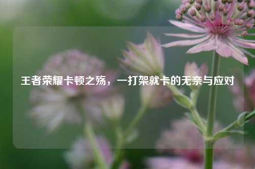 王者荣耀卡顿之殇，一打架就卡的无奈与应对