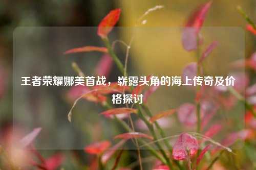 王者荣耀娜美首战，崭露头角的海上传奇及价格探讨