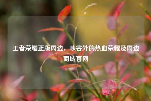 王者荣耀正版周边,峡谷外的热血荣耀及周边商城官网