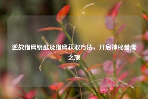 逆战猎鹰钥匙及猎鹰获取方法，开启神秘猎鹰之旅