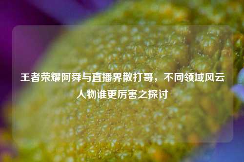 王者荣耀阿舜与直播界散打哥,不同领域风云人物谁更厉害之探讨