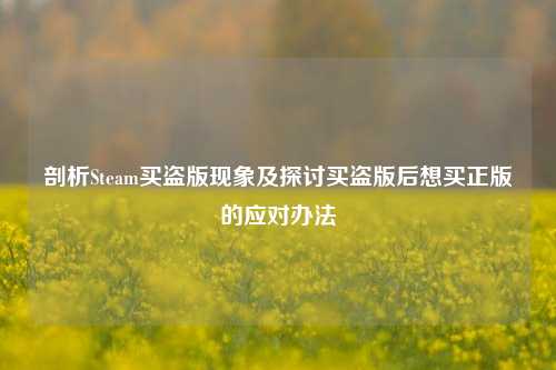 剖析Steam买盗版现象及探讨买盗版后想买正版的应对办法