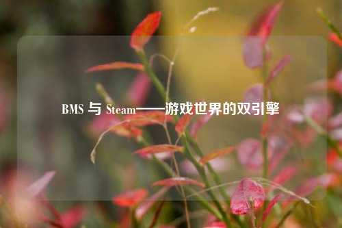BMS 与 Steam——游戏世界的双引擎