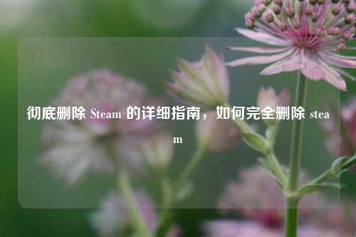 彻底删除 Steam 的详细指南，如何完全删除 steam