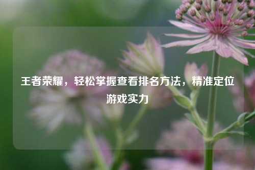 王者荣耀，轻松掌握查看排名方法，精准定位游戏实力