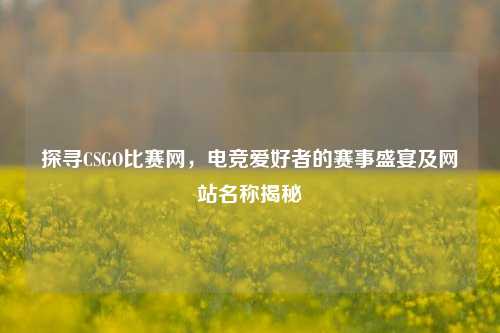 探寻CSGO比赛网,电竞爱好者的赛事盛宴及网站名称揭秘