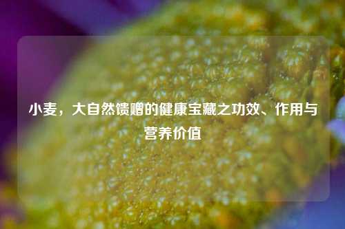小麦，大自然馈赠的健康宝藏之功效、作用与营养价值