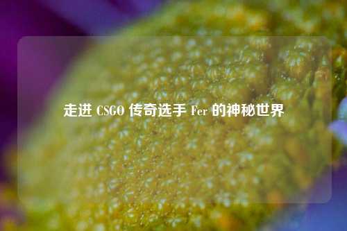 走进 CSGO 传奇选手 Fer 的神秘世界