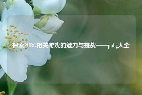 探索PUBG相关游戏的魅力与挑战——pubg大全