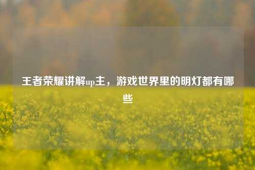 王者荣耀讲解up主,游戏世界里的明灯都有哪些