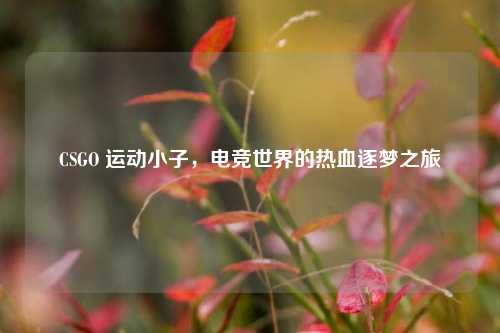 CSGO 运动小子，电竞世界的热血逐梦之旅
