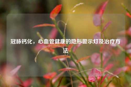 冠脉钙化，心血管健康的隐形警示灯及治疗方法