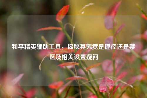 和平精英辅助工具,揭秘其究竟是捷径还是禁区及相关设置疑问