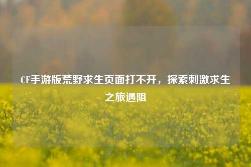CF手游版荒野求生页面打不开,探索刺激求生之旅遇阻