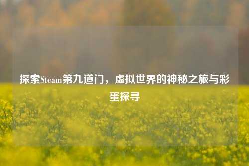 探索Steam第九道门，虚拟世界的神秘之旅与彩蛋探寻