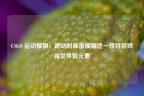 CSGO 运动模糊，跑动时画面模糊这一独特游戏视觉体验元素