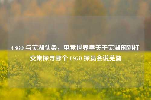 CSGO 与芜湖头条，电竞世界里关于芜湖的别样交集探寻哪个 CSGO 探员会说芜湖