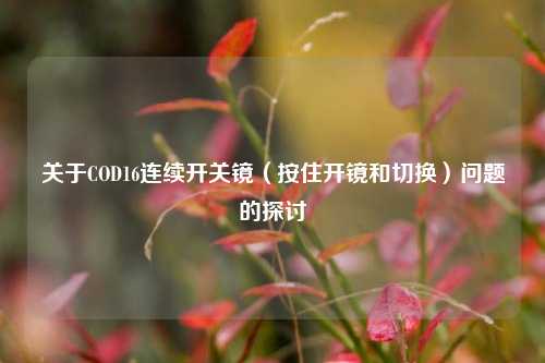 关于COD16连续开关镜(按住开镜和切换)问题的探讨
