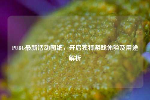 PUBG最新活动图纸，开启独特游戏体验及用途解析