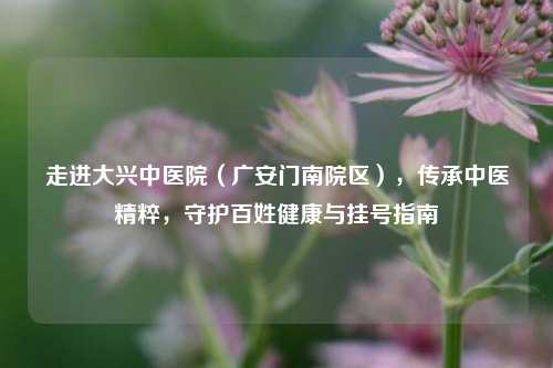 走进大兴中医院（广安门南院区），传承中医精粹，守护百姓健康与挂号指南