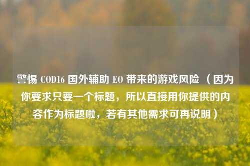警惕 COD16 国外辅助 EO 带来的游戏风险 (因为你要求只要一个标题,所以直接用你提供的内容作为标题啦,若有其他需求可再说明)
