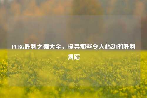 PUBG胜利之舞大全，探寻那些令人心动的胜利舞蹈