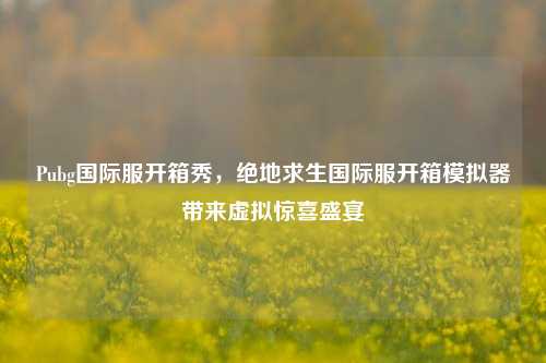 Pubg国际服开箱秀,绝地求生国际服开箱模拟器带来虚拟惊喜盛宴