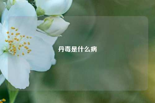 丹毒是什么病