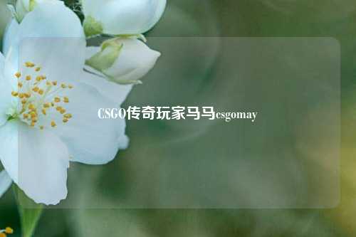 CSGO传奇玩家马马csgomay
