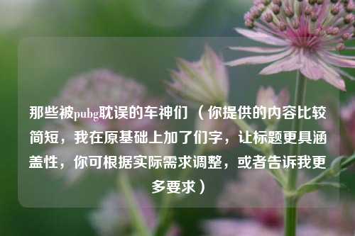 那些被pubg耽误的车神们 (你提供的内容比较简短,我在原基础上加了们字,让标题更具涵盖性,你可根据实际需求调整,或者告诉我更多要求)