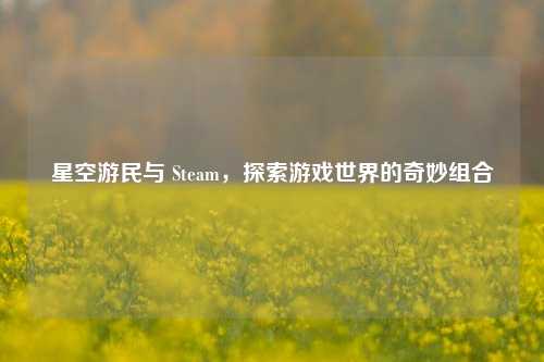 星空游民与 Steam，探索游戏世界的奇妙组合