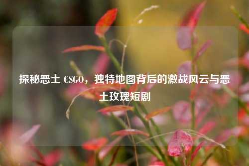 探秘恶土 CSGO，独特地图背后的激战风云与恶土玫瑰短剧