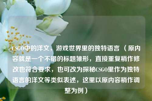 CSGO中的洋文，游戏世界里的独特语言 （原内容就是一个不错的标题雏形，直接重复稍作修改也符合要求，也可改为探秘CSGO里作为独特语言的洋文等类似表述，这里以原内容稍作调整为例）