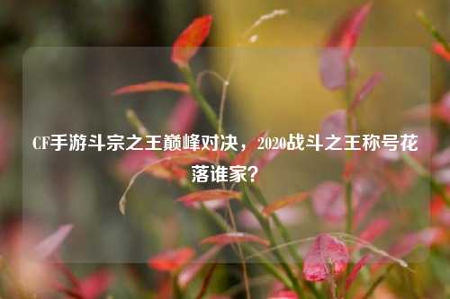 CF手游斗宗之王巅峰对决，2020战斗之王称号花落谁家？