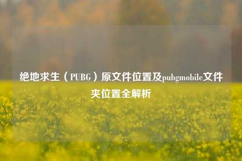 绝地求生(PUBG)原文件位置及pubgmobile文件夹位置全解析