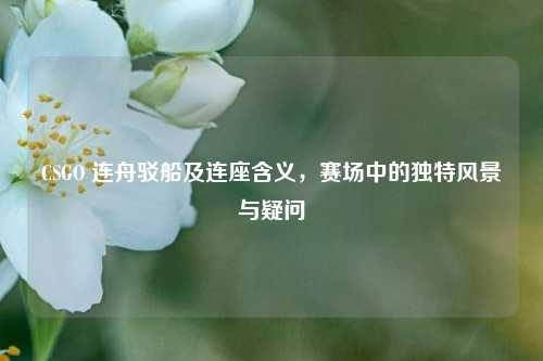 CSGO 连舟驳船及连座含义，赛场中的独特风景与疑问