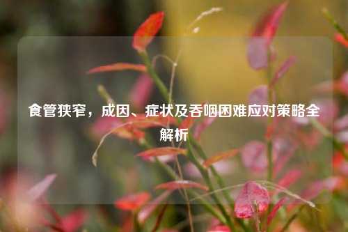 食管狭窄，成因、症状及吞咽困难应对策略全解析