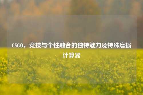 CSGO，竞技与个性融合的独特魅力及特殊磨损计算器