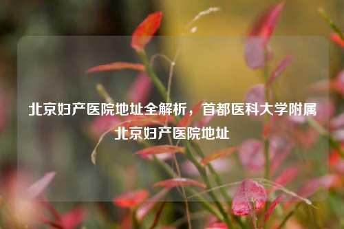 北京妇产医院地址全解析，首都医科大学附属北京妇产医院地址