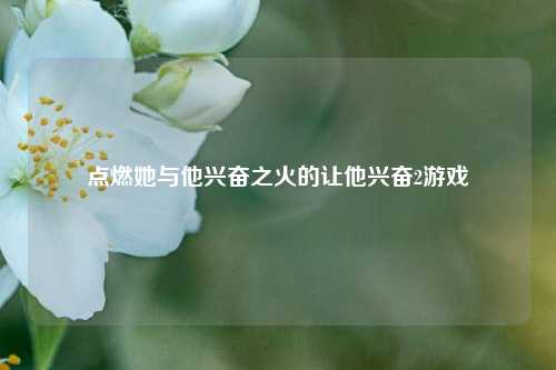 点燃她与他兴奋之火的让他兴奋2游戏