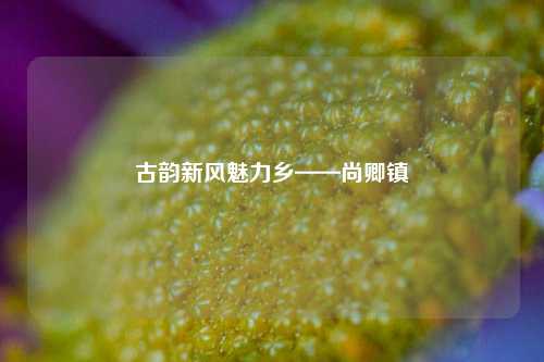 古韵新风魅力乡——尚卿镇