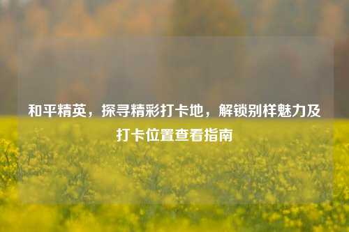 和平精英，探寻精彩打卡地，解锁别样魅力及打卡位置查看指南