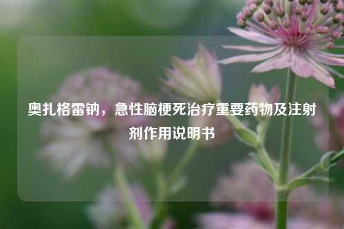 奥扎格雷钠，急性脑梗死治疗重要药物及注射剂作用说明书