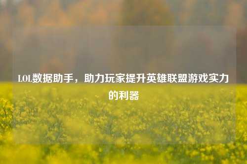 LOL数据助手，助力玩家提升英雄联盟游戏实力的利器
