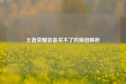 王者荣耀装备买不了的原因解析