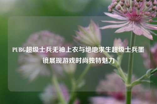 PUBG超级士兵无袖上衣与绝地求生超级士兵墨镜展现游戏时尚独特魅力