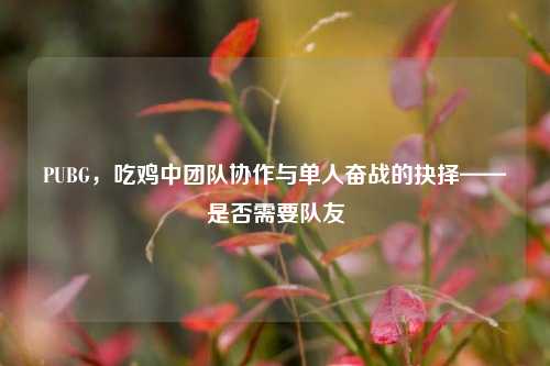 PUBG，吃鸡中团队协作与单人奋战的抉择——是否需要队友