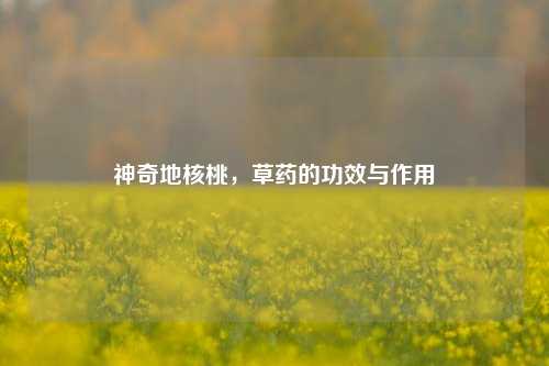 神奇地核桃，草药的功效与作用