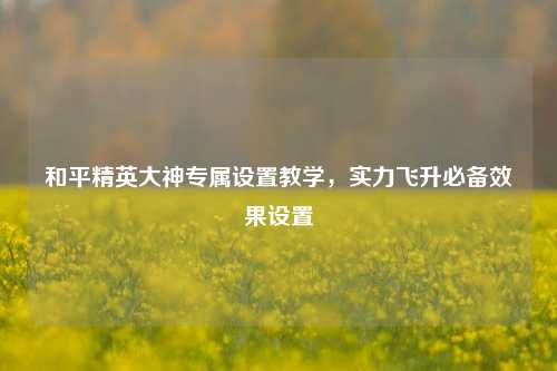 和平精英大神专属设置教学,实力飞升必备效果设置
