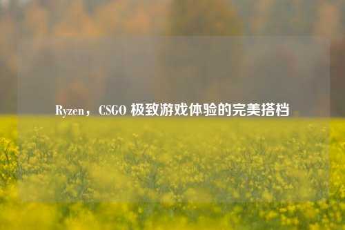 Ryzen，CSGO 极致游戏体验的完美搭档